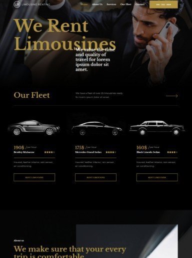 Webdesing mit Zoltan Gera